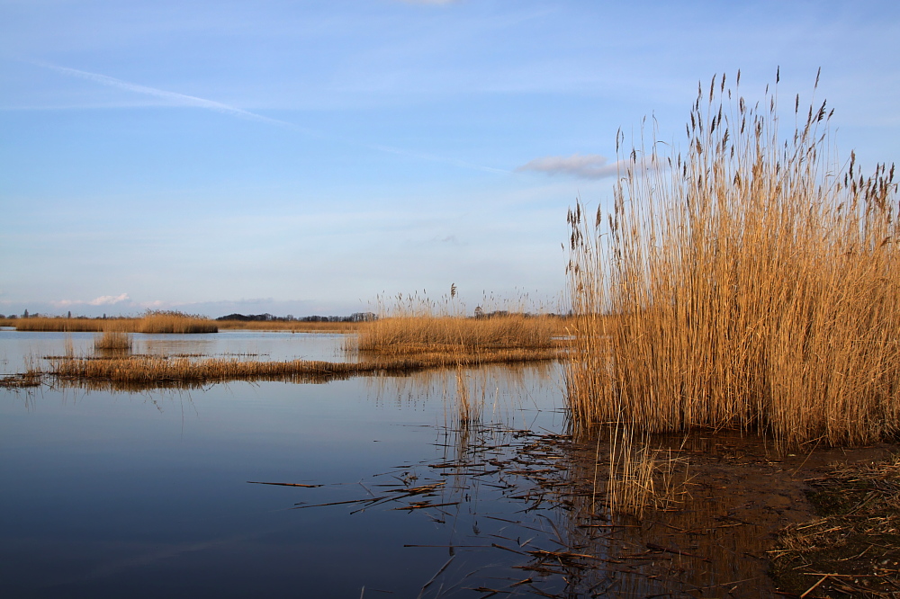 019 Neusiedlersee-Seewinkel