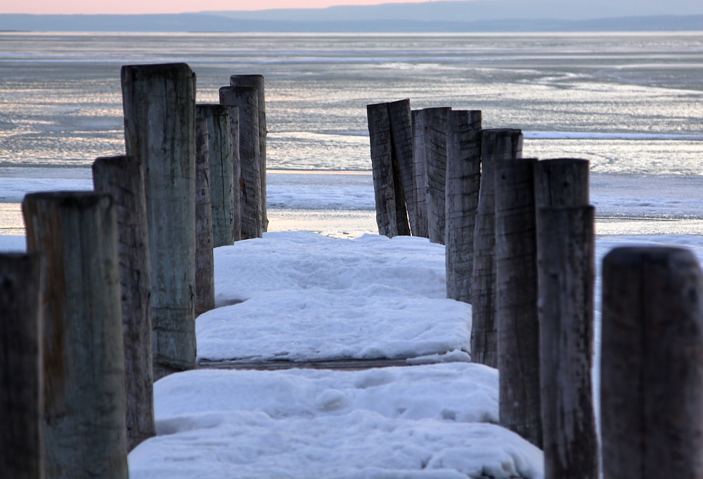 030 Nationalpark Neusiedlersee Seewinkel