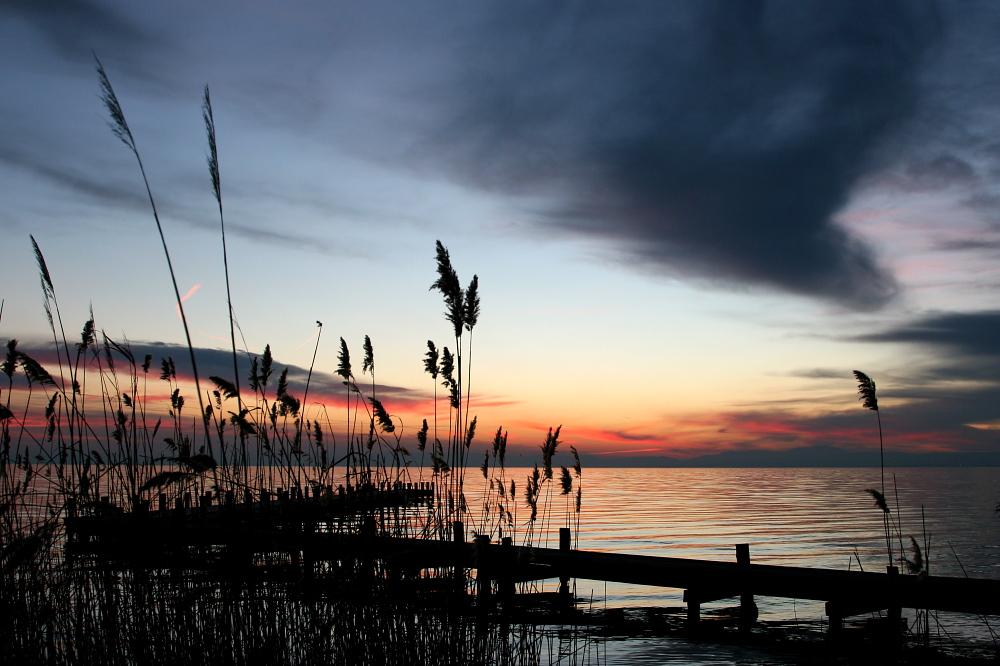 001 Neusiedlersee-Seewinkel