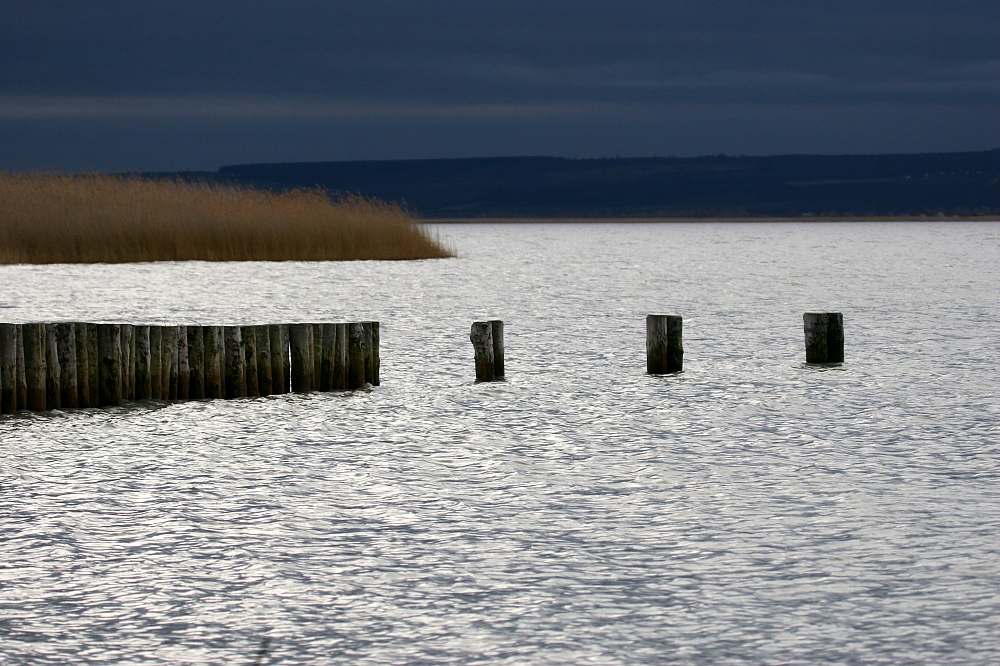 012 Neusiedlersee-Seewinkel