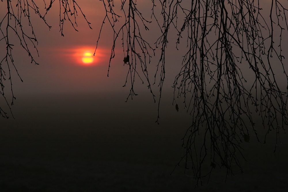 004  Sonnenaufgang im Hansag