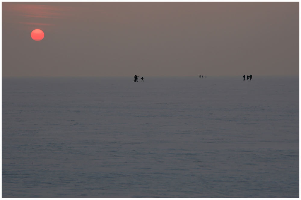 018 Neusiedlersee-Seewinkel