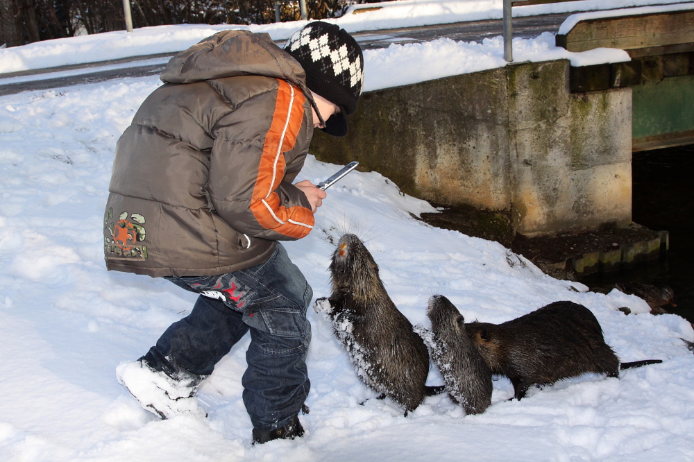 004 Rene und die Biberratten