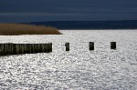 012 Neusiedlersee-Seewinkel