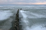 017 Neusiedlersee-Seewinkel